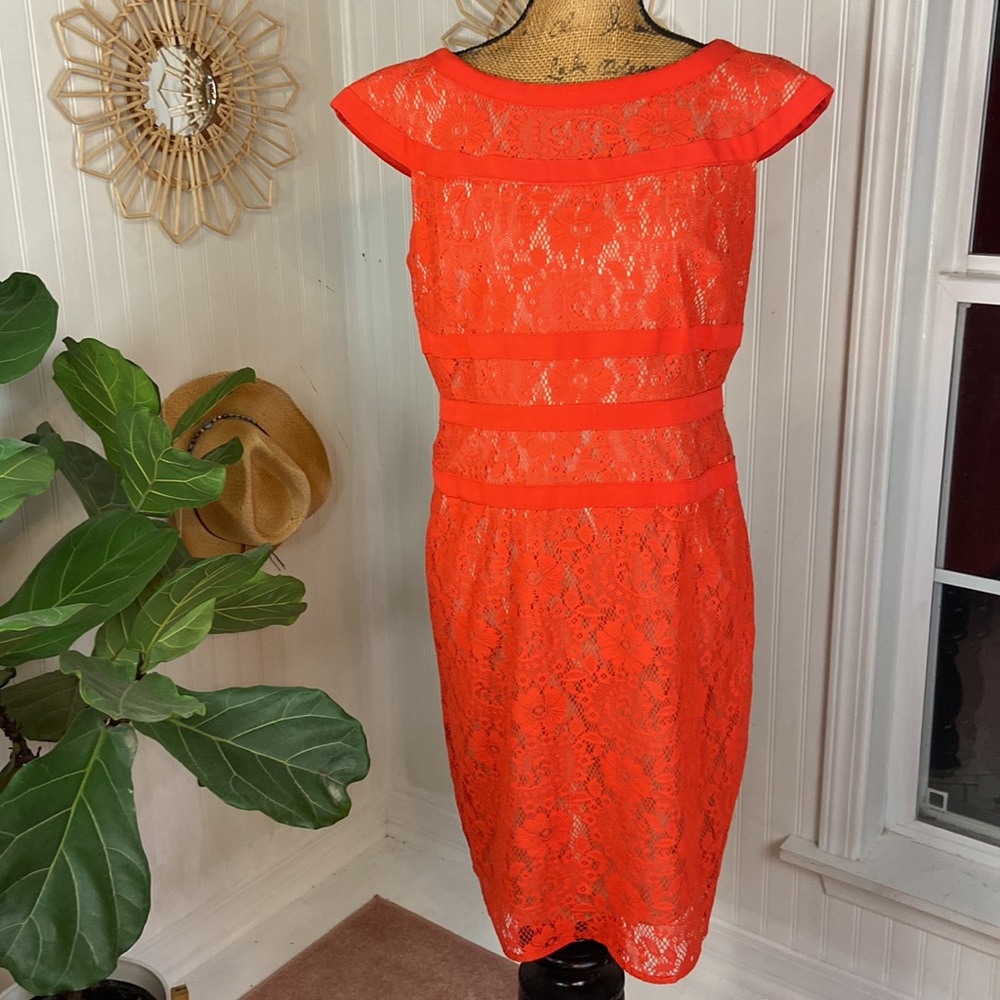 Adrianna Papell Orange Red Lace Sheath Dress Sz 14